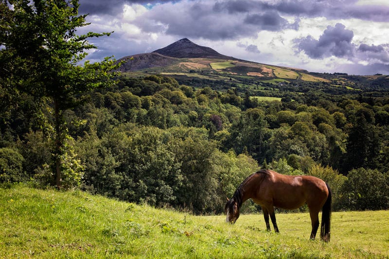 Wicklow mountains sugar loaf