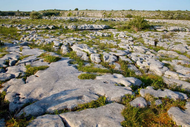 The Burren National Park: Karst Rock