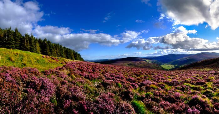 wicklow mountains tours from dublin