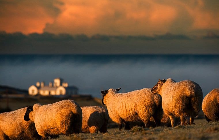 Cliffs Of Moher, Atlantic Edge Ocean Walk & Galway City Day Tour From ...