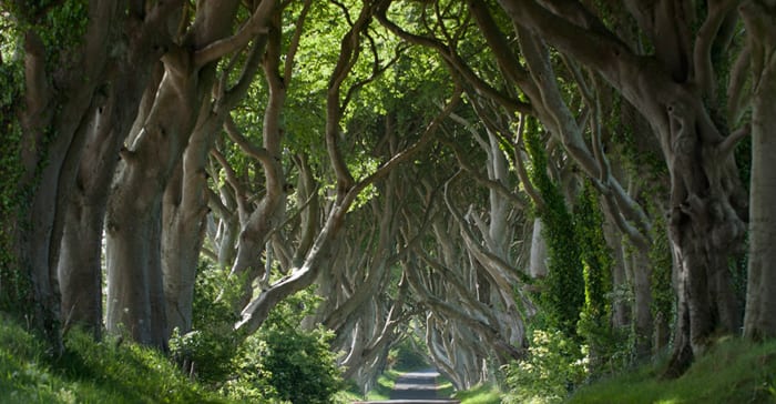 best game of thrones tour from dublin