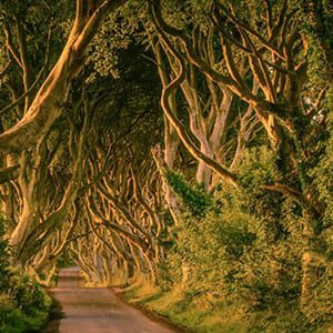 Book The Game Of Thrones Tour From Dublin Wild Rover Tours