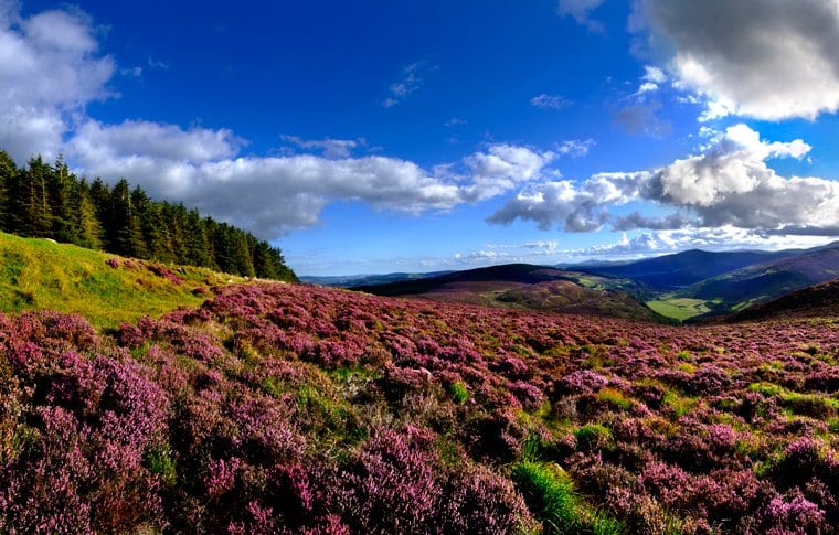 wicklow mountains bus tour